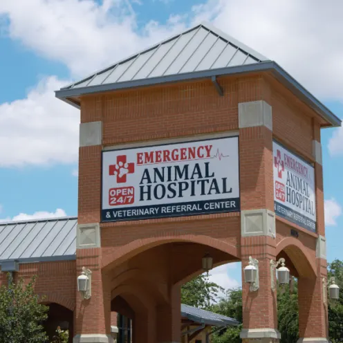 Emergency Animal Hospital of Collin County, Plano, sign